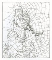 A coloring page of nature in the backyard